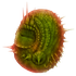 Avatar für gaismagorm