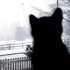 Avatar for kittyyami