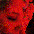 Avatar for Sophie_Gosia