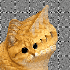 Avatar for StevenHelock