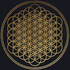 Avatar for omarmady1012