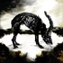 Avatar di Rhombencephalon