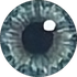 Avatar for Vantwister