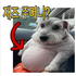 Avatar for thecodecexpires