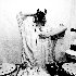 Avatar for Shackleton