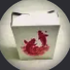 Avatar für BriceTheRice