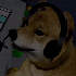 Avatar for NaNaNaNook