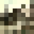 Avatar for genghisgandhi
