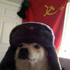 Avatar for Dirty_Ol_Dog