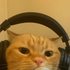 Avatar for jeovafalc