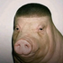 Avatar for xSodoku