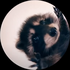 Avatar for RolandHU
