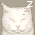 Avatar for ennifairy