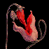 Avatar for KatieBaep