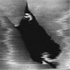 Avatar for thestergnosis