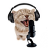 Avatar de Hijck75
