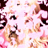 Avatar di Blossom84
