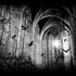 Avatar for Axis Mundi Actum