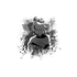 Avatar for WidowsWebbing