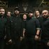 Avatar for Despised Icon