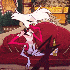 Avatar for D4shFoxxxxxxx