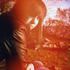 Avatar de SashaOm