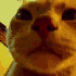 Avatar for thetacodile22