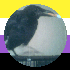 Avatar for Impulse_265