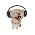 Avatar for Karmap0l1c3