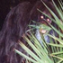 Avatar for comical_b
