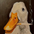 Avatar for Sterre_b
