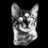 Avatar for nickfelaris