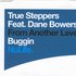 True Steppers Feat. Dane Bowers için avatar