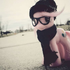 Avatar for cat__popup