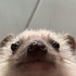 Avatar for GinQuickspear