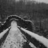 Awatar dla Snow Shards