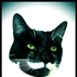 Avatar for JOEmeow