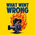 Avatar for What Went Wrong