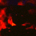 Avatar for pedrinhcuzinho