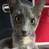 Avatar for mia040509