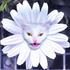 Avatar de xCrazyDaisyx
