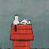 Avatar for feelinginmyfeet