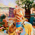 Avatar for InSomniaYoo