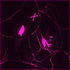 Avatar for zeeenith
