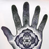 Avatar for Echopulse