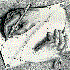 Avatar di mdomox