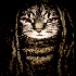 Avatar for lil-poto