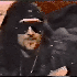 Avatar for okc1995
