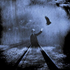 Avatar for shadow8904