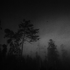 Avatar di darkelianne